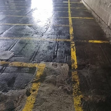 עדי פוליש הדברה וניקיון