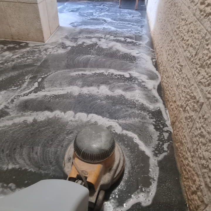 עדי פוליש הדברה וניקיון