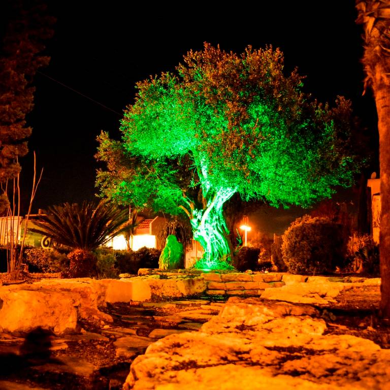אילן ירימי ראש מועצת קריית עקרון